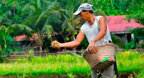 state of farmers in the philippines ibon